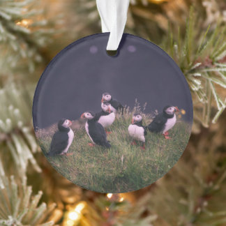 Atlantic Puffins Ornament