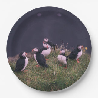Atlantic Puffins Paper Plate