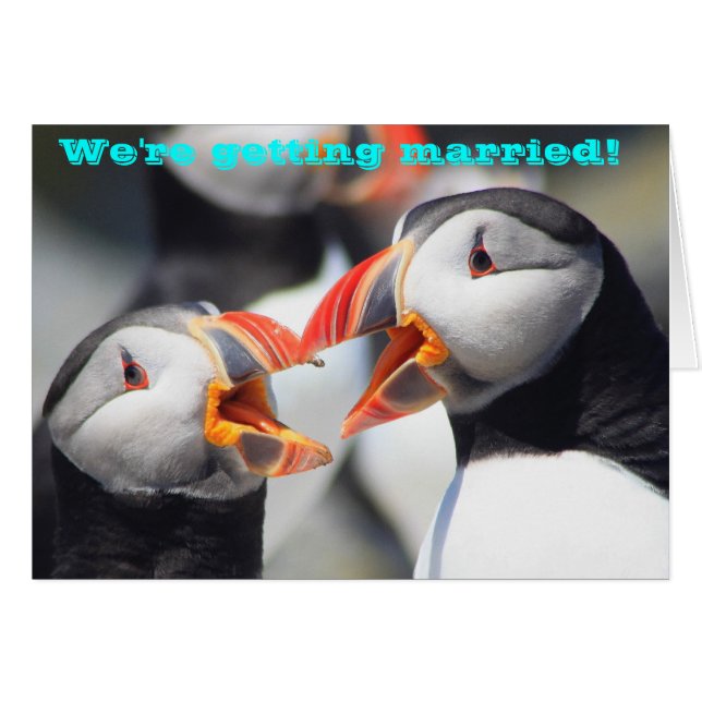 Atlantic Puffins We're Getting Married (Front Horizontal)