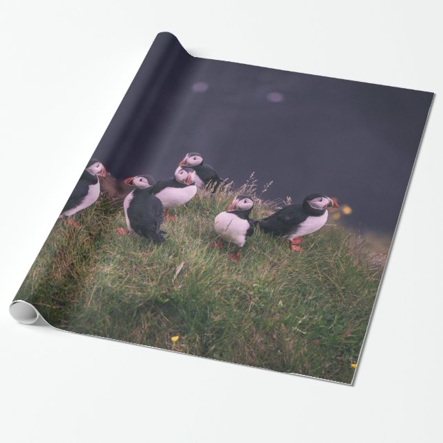 Atlantic Puffins Wrapping Paper (Unrolled)