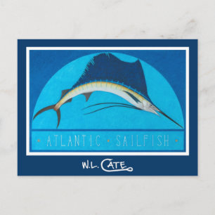 Atlantic Sailfish Postcards