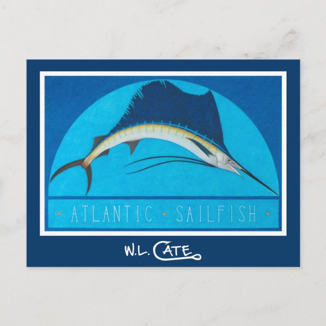 Atlantic Sailfish Postcards (Front)