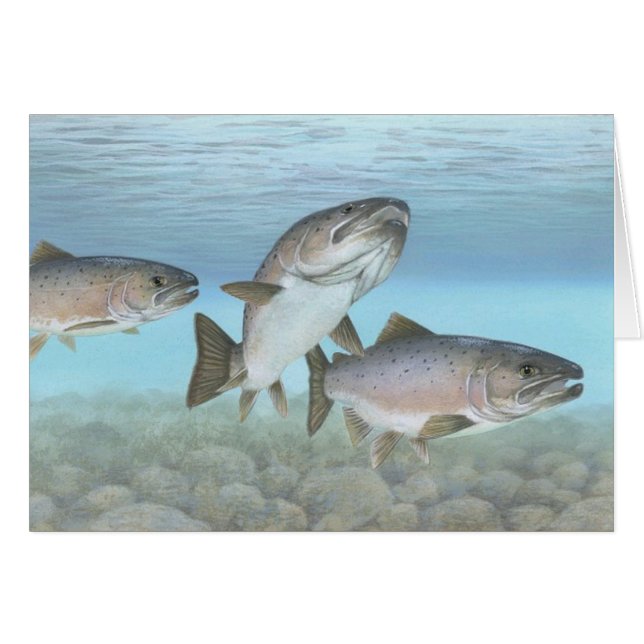 Atlantic Salmon Painting Blank Card (Front Horizontal)