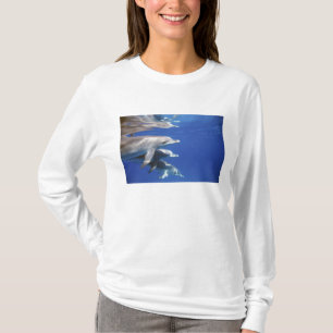 Atlantic spotted dolphins. Bimini, Bahamas T-Shirt