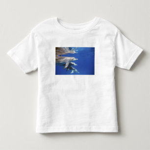 Atlantic spotted dolphins. Bimini, Bahamas Toddler T-Shirt
