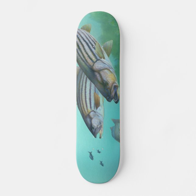 Atlantic Striped Bass Fish Morone Saxatilis Skateboard (Front)
