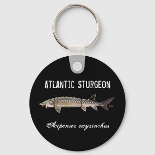 Atlantic Sturgeon Title Keychain - Scute Layers