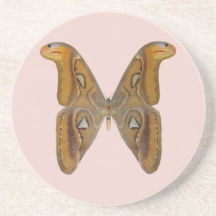 Atlas Moth Coaster