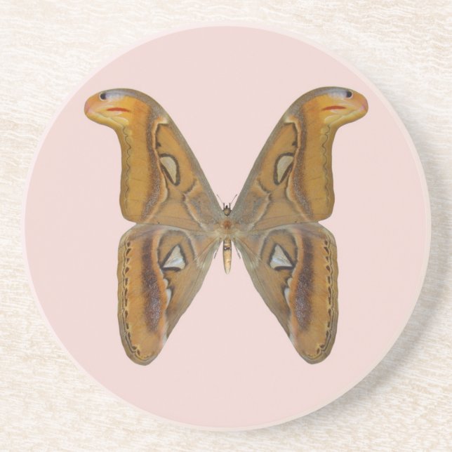 Atlas Moth Coaster (Front)
