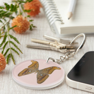 Atlas Moth Key Ring