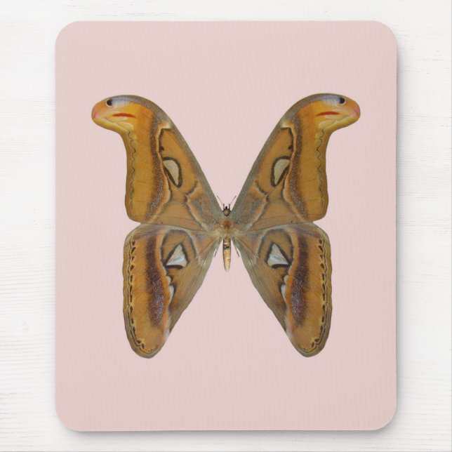 Atlas Moth Mouse Pad (Front)