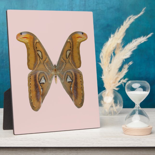 Atlas Moth Plaque (Side)