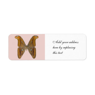 Atlas Moth Return Address Label