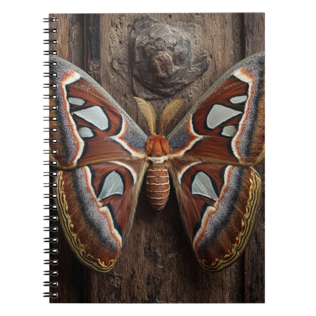 Atlas Moth Rustic Notebook (Front)