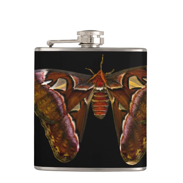 Atlas Moth - Snake Head Hip Flask (Front)