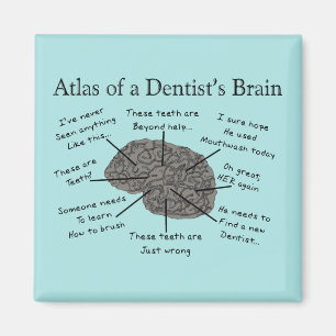 Atlas of a Dentist's Brain Humourous  Magnet