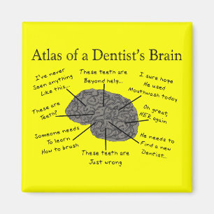 Atlas of a Dentist's Brain Magnet