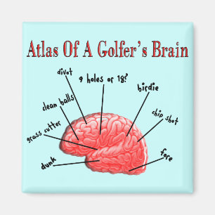 Atlas of a Golfer's Brain Magnet