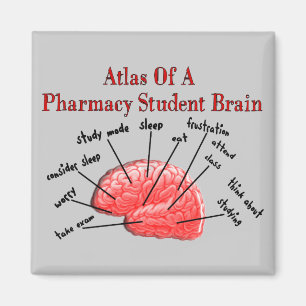 Atlas of a Pharmacy Student Brain Magnet