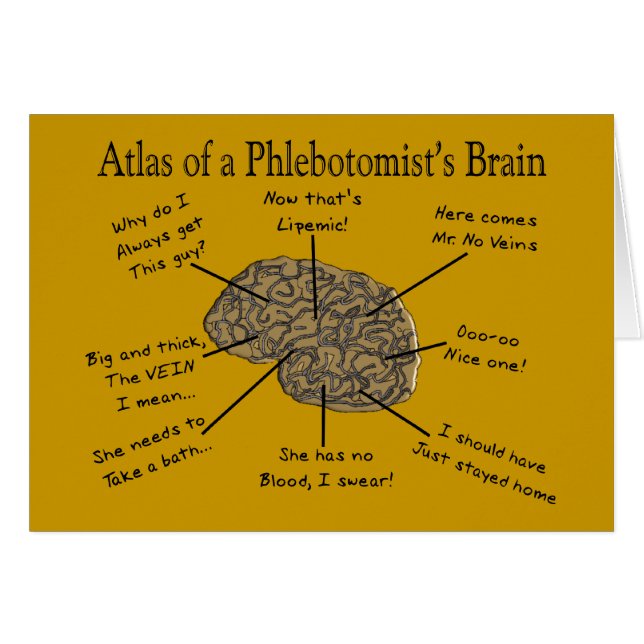 Atlas of a Phlebotomist's Brain (Front Horizontal)