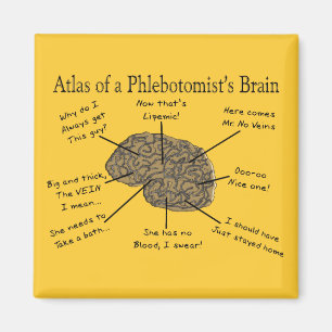 Atlas of a Phlebotomist's Brain Magnet