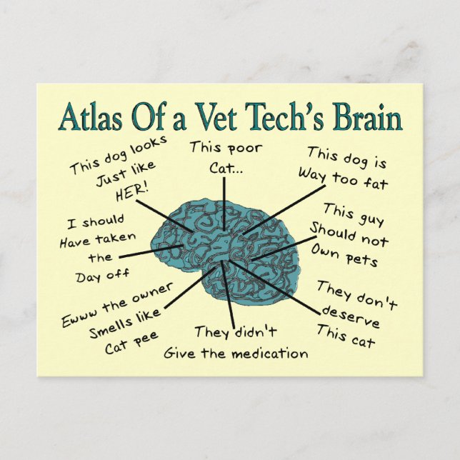 Atlas of a Vet Tech's Brain Postcard (Front)