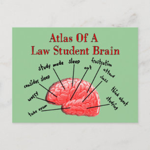 Atlas of Law Student Brain Postcard