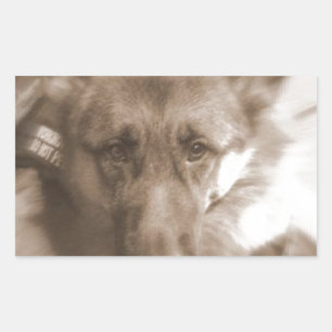 Atlas the Wonderdog Rectangular Sticker