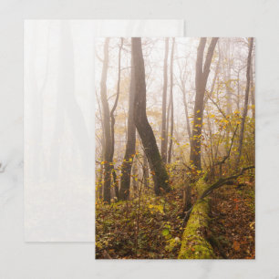 Atmospheric Autumn Forest in Mist Holiday Card
