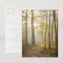 Atmospheric Autumn Park in Mist