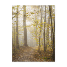 Atmospheric Autumn Park in Mist