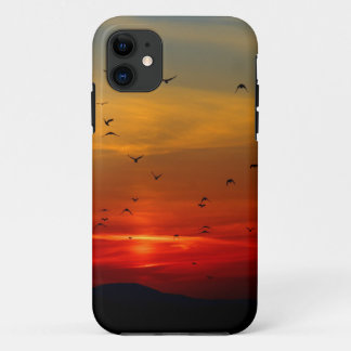 Atmospheric Sky, sunset, birds, beautiful photo iPhone 11 Case
