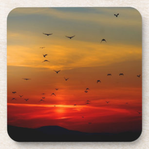 Atmospheric Sky, sunset, birds, beautiful photo Coaster