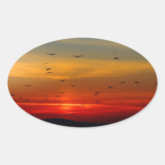 Atmospheric Sky, sunset, birds, beautiful photo Oval Sticker