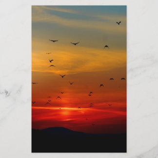 Atmospheric Sky, sunset, birds, beautiful photo Stationery