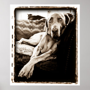 Atomic Cerebellum : Ballou's Chair Poster