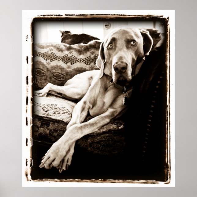 Atomic Cerebellum : Ballou's Chair Poster (Front)