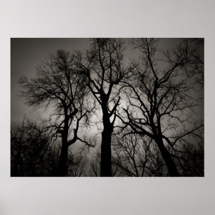 Atomic Cerebellum : Lake Front in Winter Poster