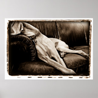 Atomic Cerebellum : Taking Over The Couch Poster