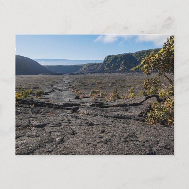 atop dry lava bed of kilauea iki crater postcard (Front)