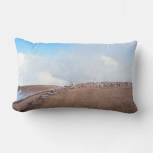 Atop Summit of Pikes Peak Lumbar Cushion