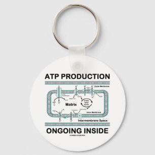 ATP Production Ongoing Inside Key Ring