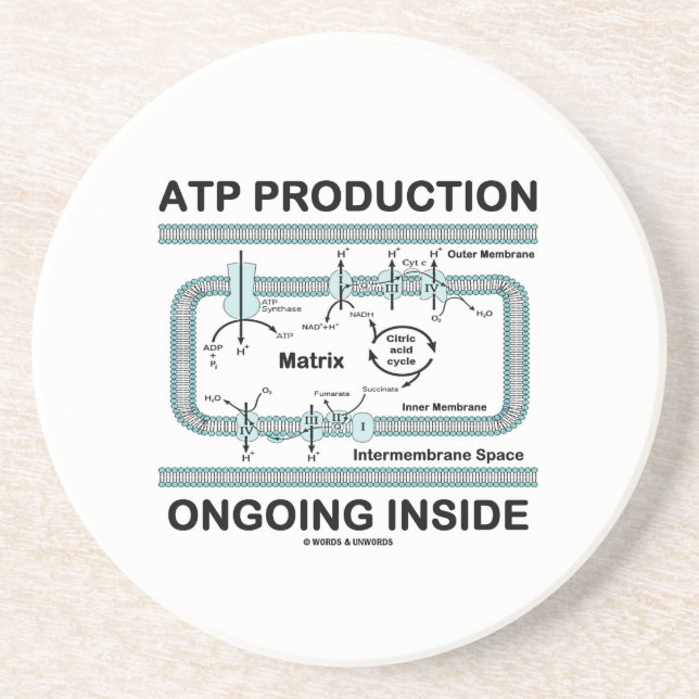 ATP Production Ongoing Inside (Mitochondrion) Coaster (Front)