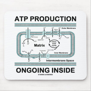 ATP Production Ongoing Inside Mouse Pad