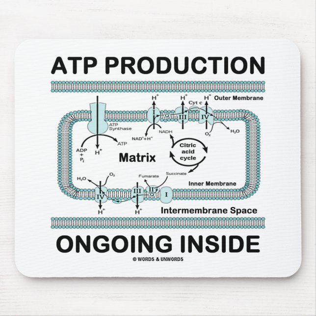 ATP Production Ongoing Inside Mouse Pad (Front)