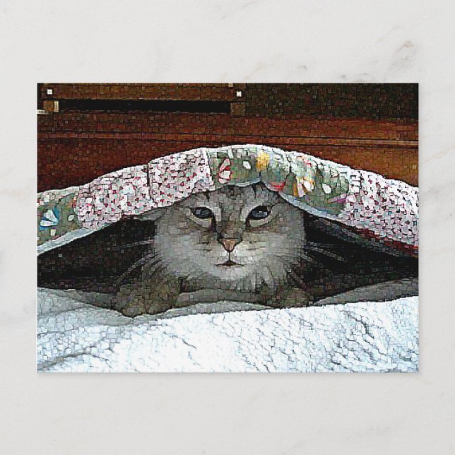 Attack Cat Postcard (Front)