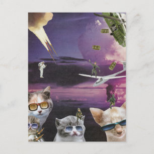 Attack of the Cool Cats postcard