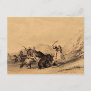Attacking the Grizzly Bear, 1844 George Catlin Postcard