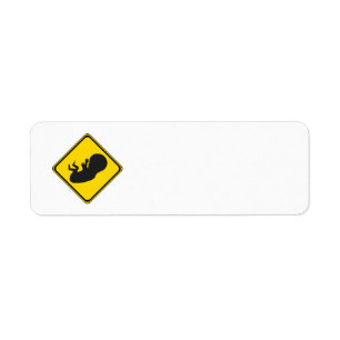 Attention: Baby Ahead! Return Address Label