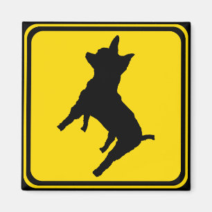 Attention:  Chihuahua Ahead! Magnet